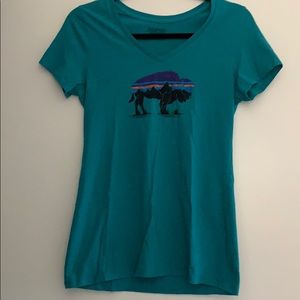 Aqua Patagonia Tee